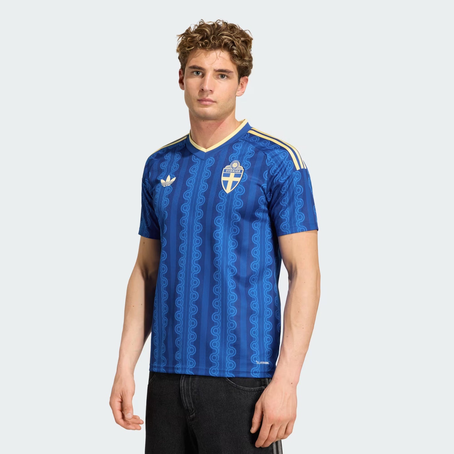 Jersey Sweden 2026 Away WorldCup