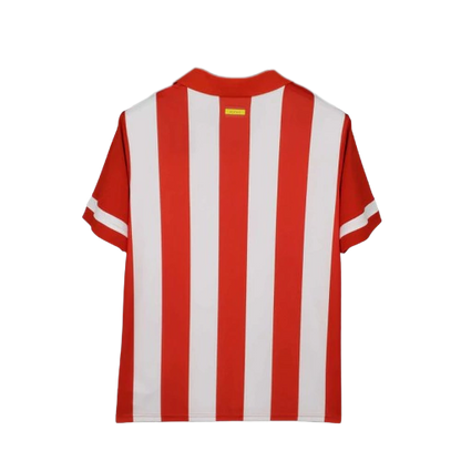 Atlético Madrid 2013/2014 Home