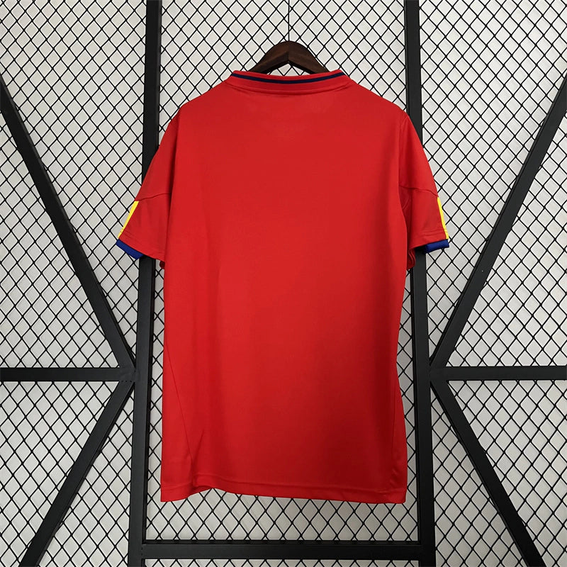 Jersey Spain 2010 Home